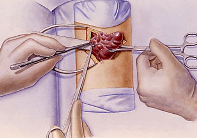 甲府事件真假,甲府事件可信度