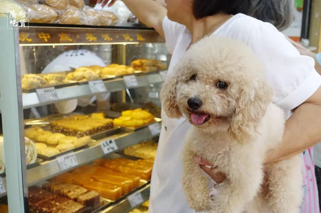 张敬轩推荐美食店,张敬轩广州饮食店