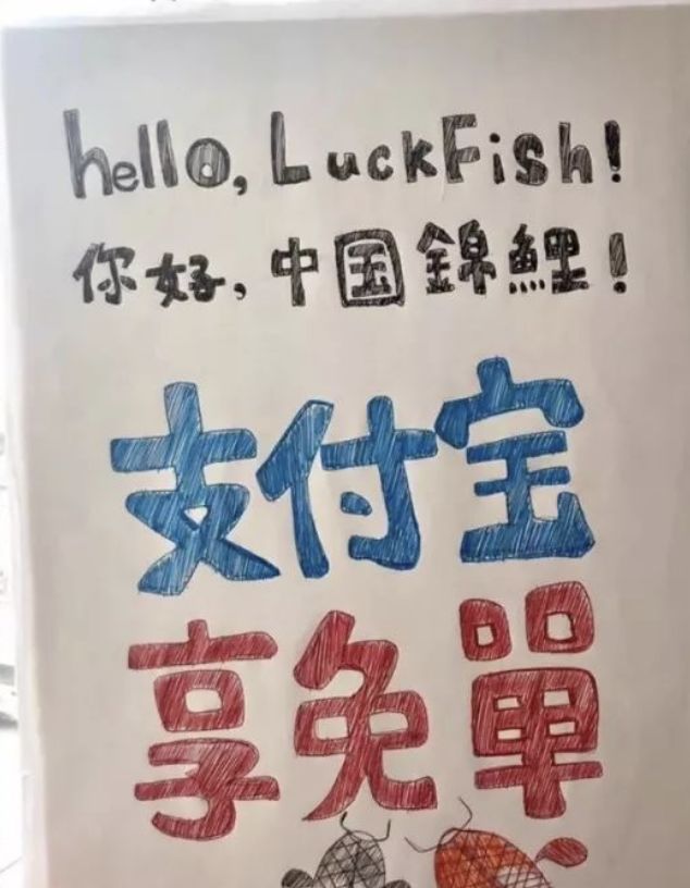 锦鲤用英文该怎么表达,锦鲤的英语是什么怎么写