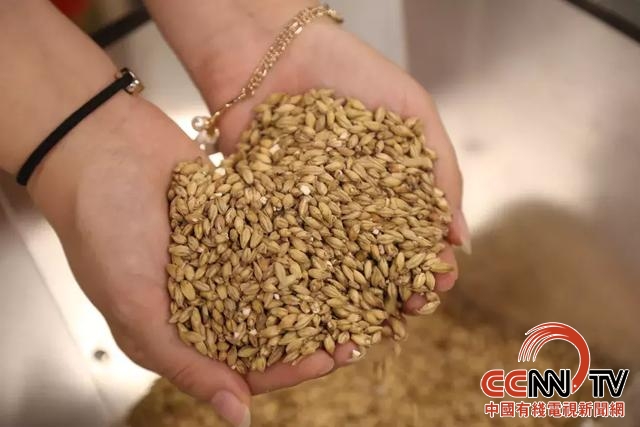 唐山勒泰城音乐节,曹妃甸啤酒音乐节