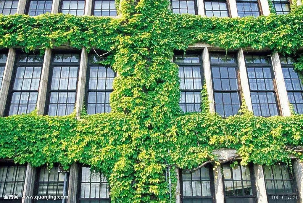 大一挂科影响以后考什么证,大一挂科对老师有影响吗