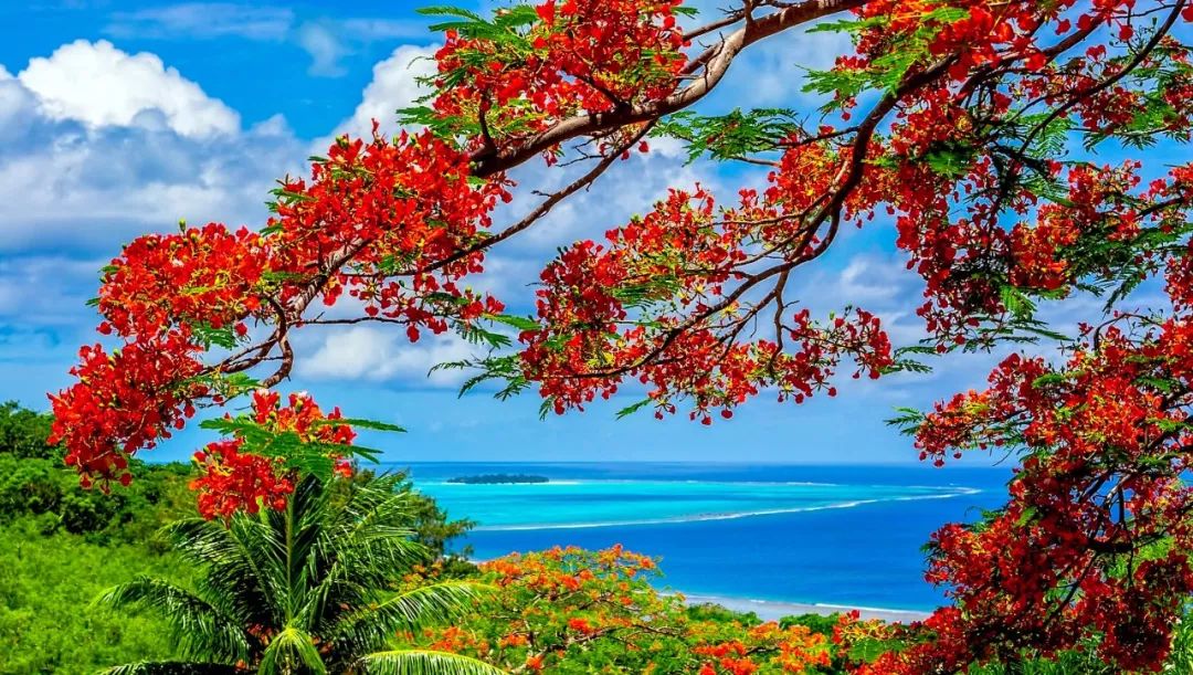 低至4折，四季、栗子、六善、星野错峰出行都超级便宜！