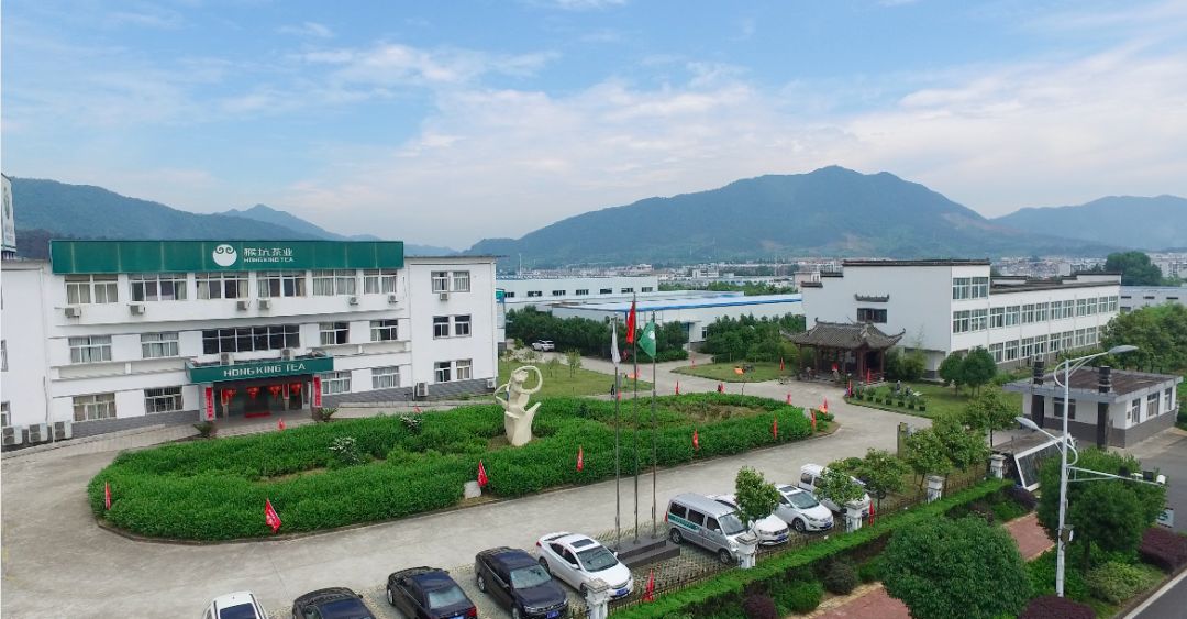 「社会眼」佩服！黄山这家公司用尽全力只做一件事！