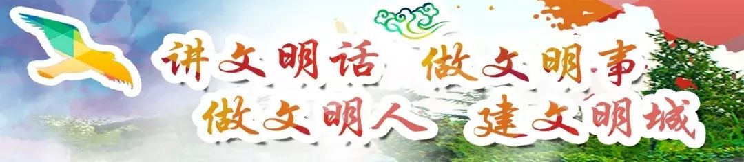 朴泰夏延边冲超,延边富德朴泰夏现状