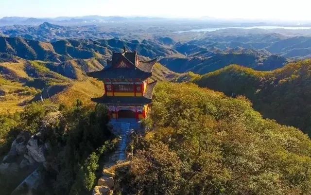 北方最大的银杏林在哪里,中国最大面积的银杏树林在哪里