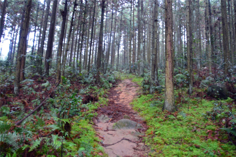 十大非著名山峰哪座山好玩,中国十大非著名山峰韭菜岭