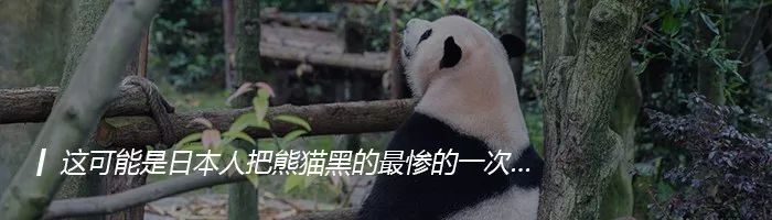 日本人和猫的关系,为什么日本人这么喜欢女生