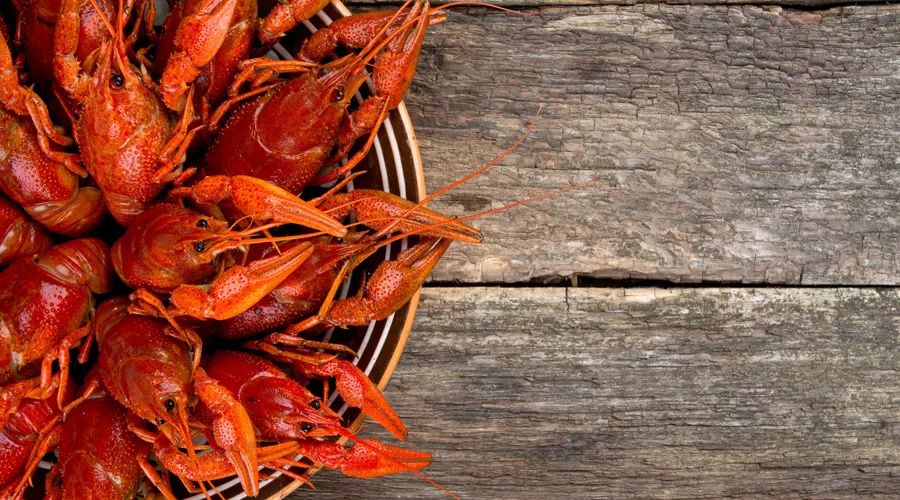 防癌酵素,酵素防癌抗癌吗