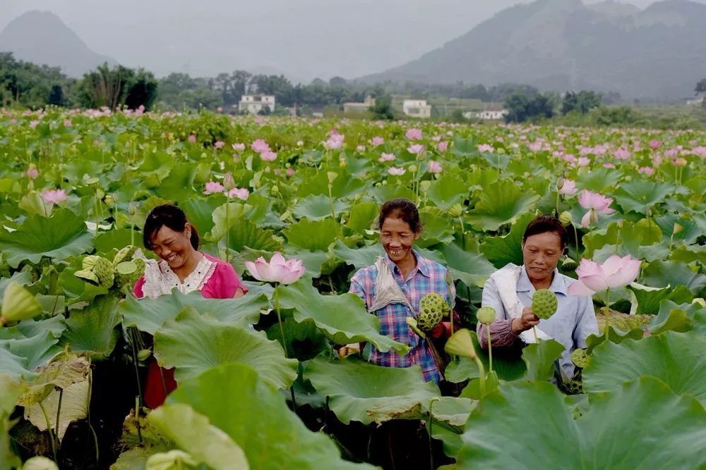 乳源山清水秀,乳源绿水青山最新消息