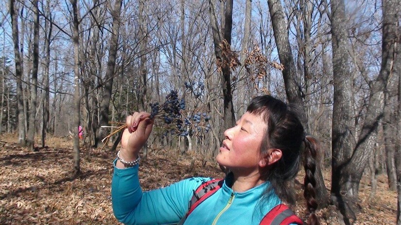 汪清直播外景,汪清户外直播