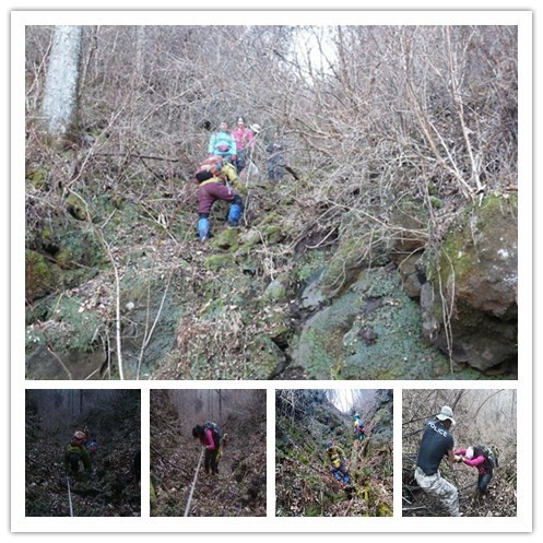 汪清直播外景,汪清户外直播