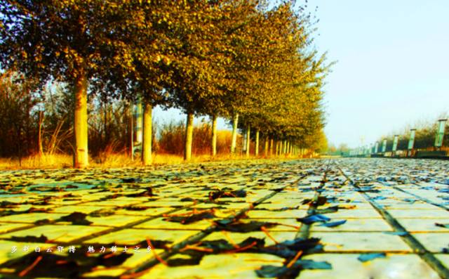 「靓·白云」秋天的白云鄂博，仿佛让你置身岁月的留声机中……