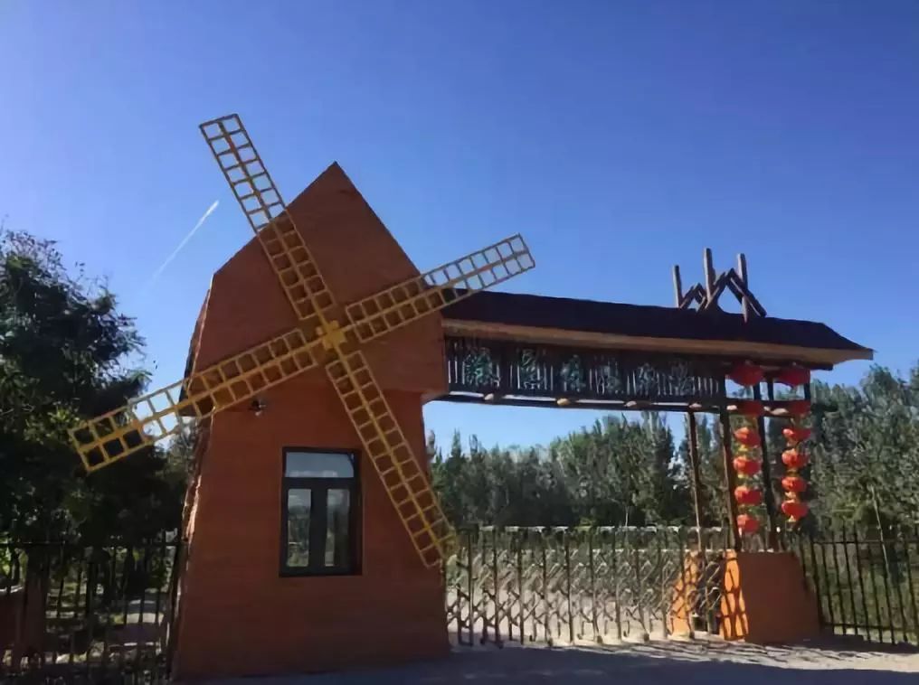 周末游玩银杏林,周末去哪里看银杏叶好