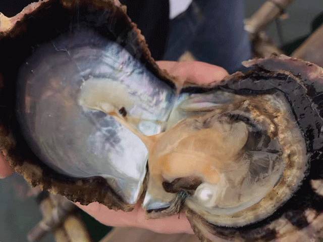 素颜也可以光彩照人,素颜也光彩照人