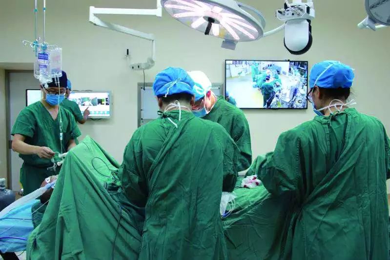 栉风沐雨铸辉煌,栉风沐雨铸华章