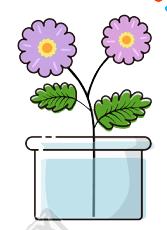 三明开通重庆航班,三明机场到重庆有航班吗