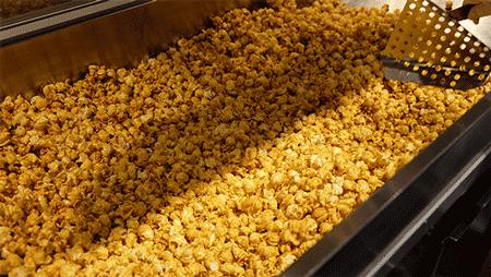 平湖免费景点推荐一下,平湖周边最近的动物园