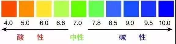 专治牙黄口臭超好用牙膏明星同款,牙膏测评美白去黄清新口气第一名