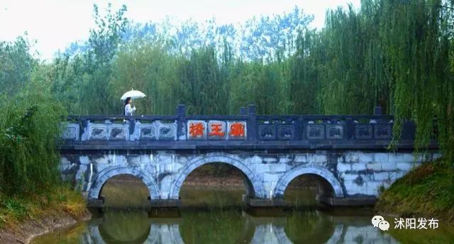 夏老师到底爱谁,夏老师喜欢陈律吗