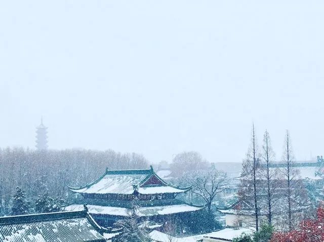 你的姓氏里也藏着一句最美的情话,姓氏的句子唯美短句