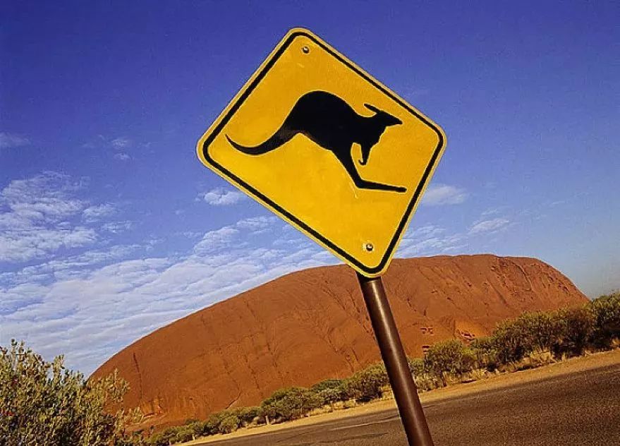 引发澳洲各大媒体争相报道的TA，凭什么可以C位出道？