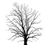 饮用水污染事件发生的处理方法,饮水突发污染事故应急处理预案