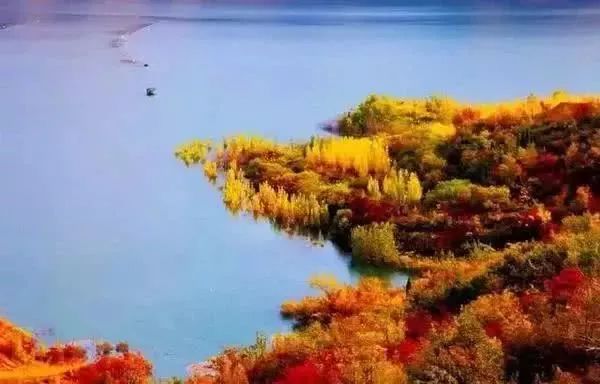 河南秋天红叶最美的地方有哪些,河南秋天最美红叶景区