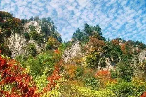 河南秋天红叶最美的地方有哪些,河南秋天最美红叶景区