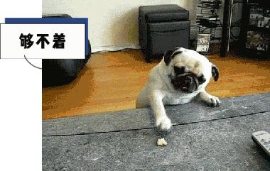 为什么键盘字母排列顺序是这样的,键盘上的abcd和qwerty