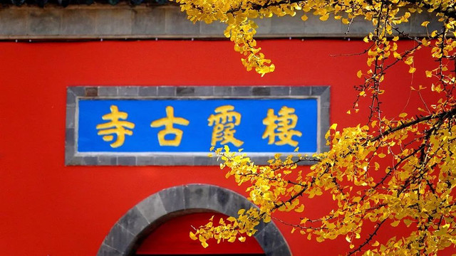 南京最美赏秋地点,南京赏秋之旅