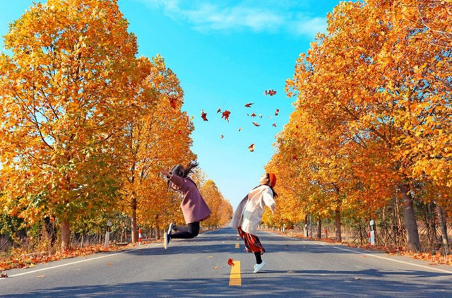 南京最美赏秋地点,南京赏秋之旅