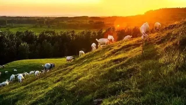 南京最美赏秋地点,南京赏秋之旅