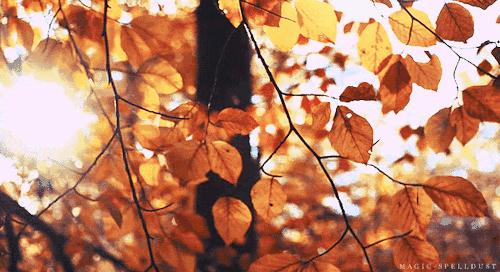 明天在上海有哪些免费专家义诊,今日义诊活动现场