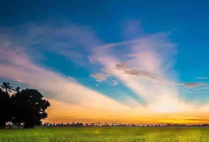 国内外农业众筹发展历程,农业众筹需要注意的事项