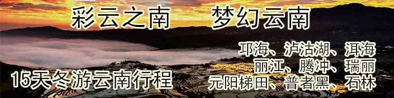 旅行社内部人员揭密旅游“*规则潜**”，国内各大景区慌了……