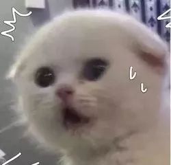 查获1000克假冰毒,警方查获假伟哥