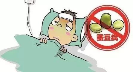 什么血液病不能吃蚕豆,血液病吃蚕豆