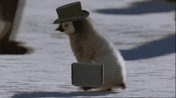 寒气重手脚冰凉怎么办看中医,了解身体体质解决冬季手脚冰凉