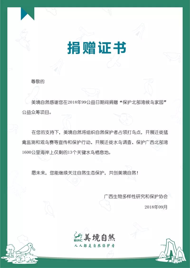 美境自然：品牌形象下的99众筹宣传品｜2018劲草99众筹经验分享（一）
