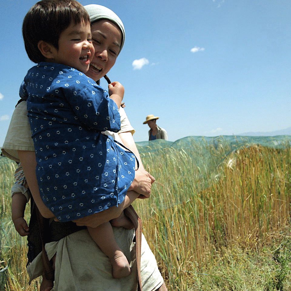 这个年轻人不上班不买房，在大理种地7年，生活过成了这样……