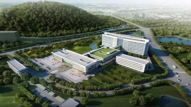 温州眼镜小镇依视路,温州眼镜小镇发展