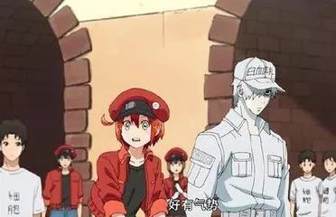 为什么亲属不能互相输血,直系亲属之间不能输血是真的吗