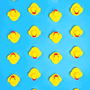 快看！我在小黄鸭帐篷里看到了星空