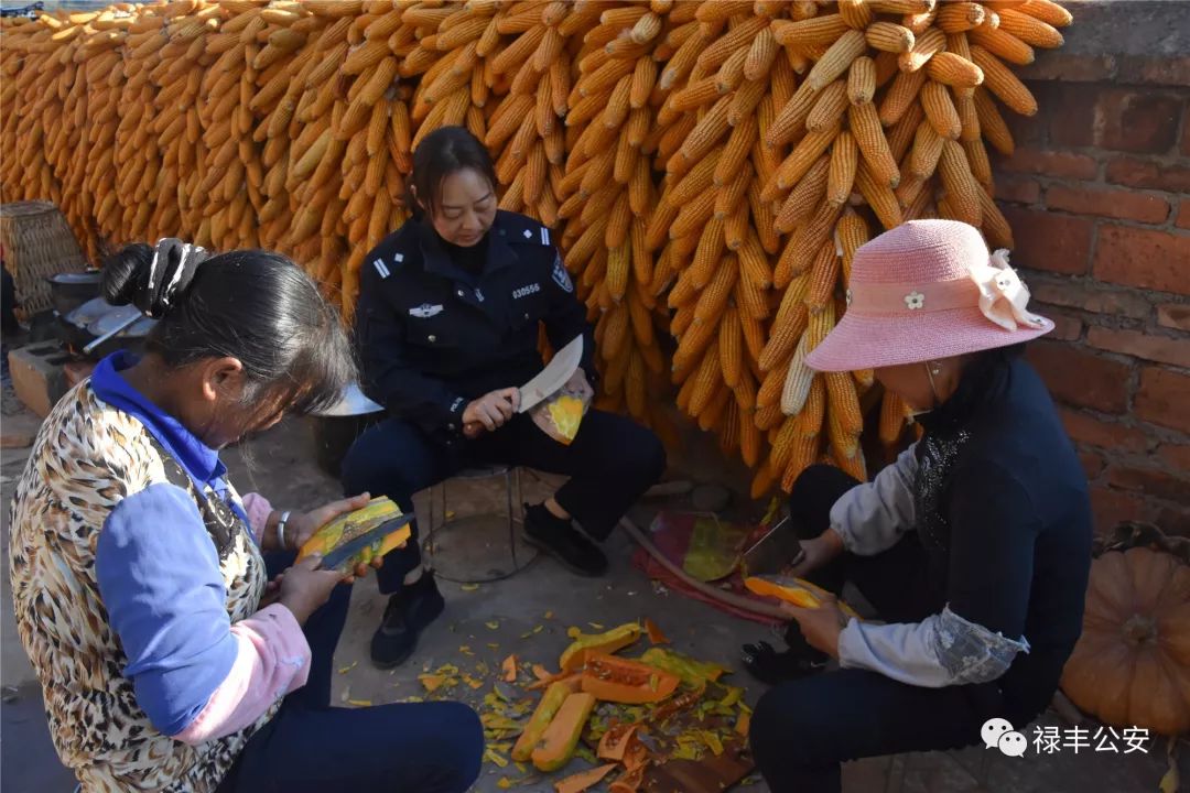 凝心聚力谋发展脱贫攻坚谱新篇,脱贫攻坚凝心聚力逐梦