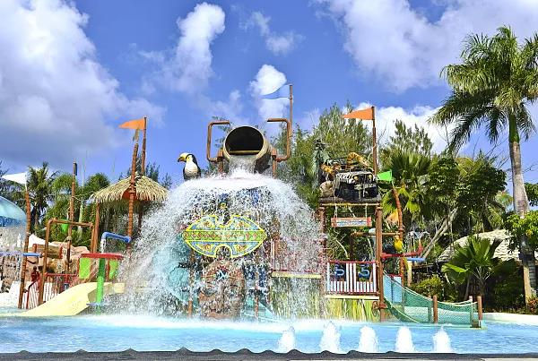 成都木育森林主题乐园,成都恐龙主题乐园