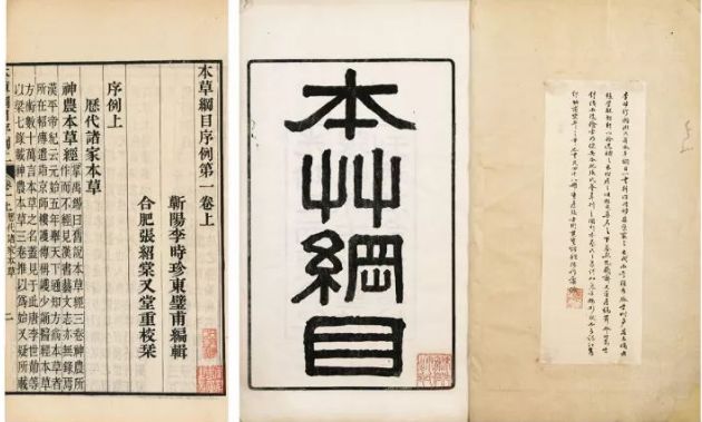 双11养生操,双11免费保养项目