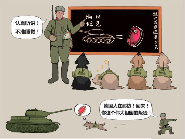 最忠实的军犬有哪些,哪些比较忠诚的军犬