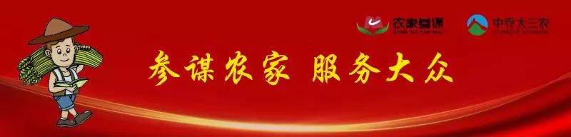 屋里暖气热嗓子干疼吃什么药,冬季室内空气干燥嗓子疼