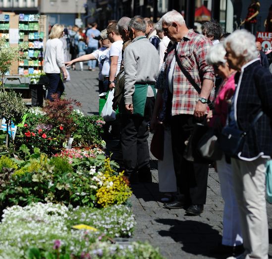 寻访波希之足迹