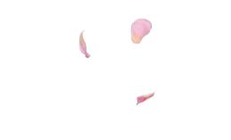 产后42天需要注意的问题,月子42天后应该注意哪些